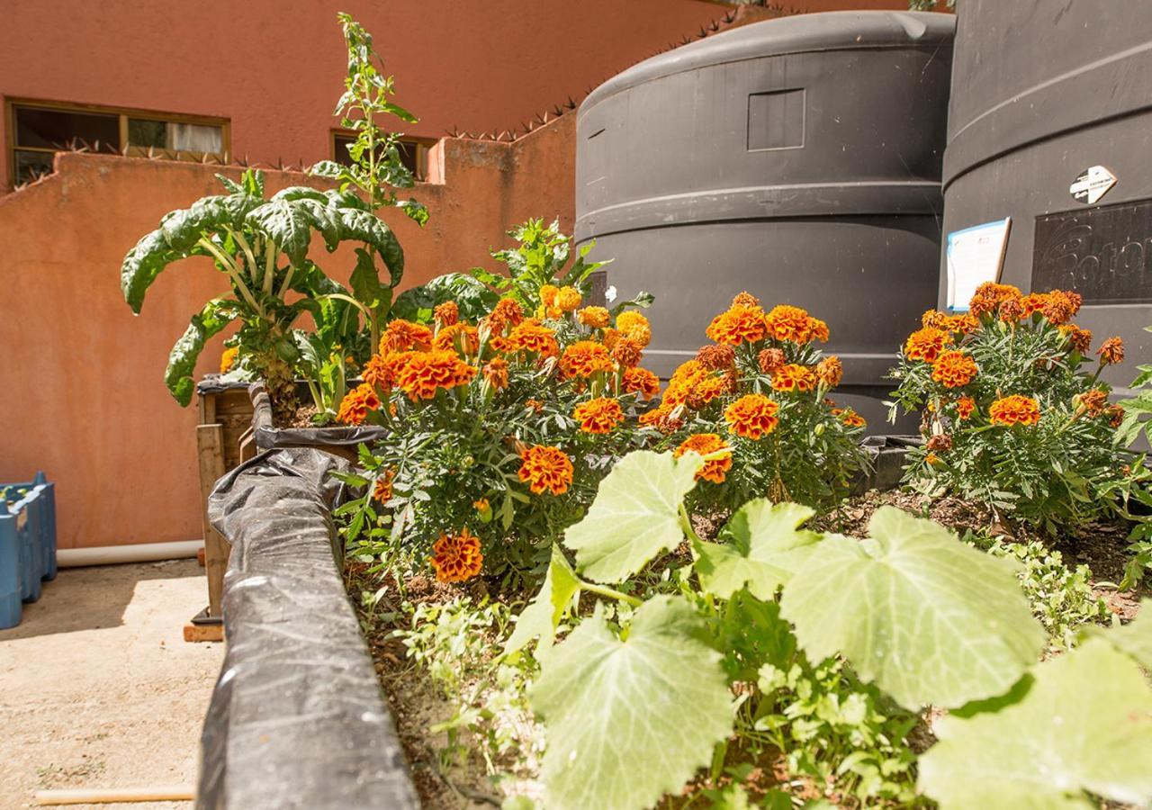 Casa Estrella De La Valenciana Hotel Boutique Guanajuato Exterior foto